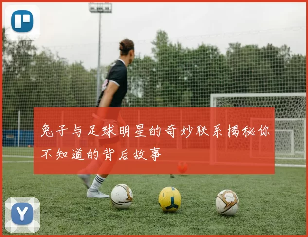 兔子与足球明星的奇妙联系揭秘你不知道的背后故事