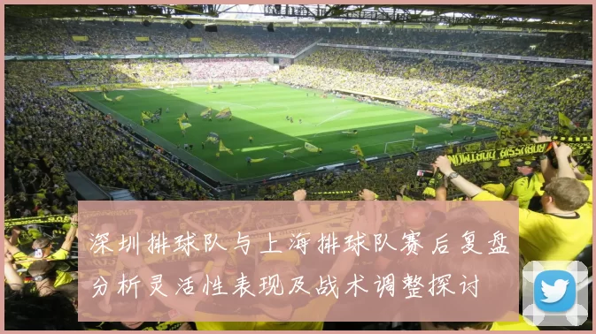 深圳排球队与上海排球队赛后复盘分析灵活性表现及战术调整探讨