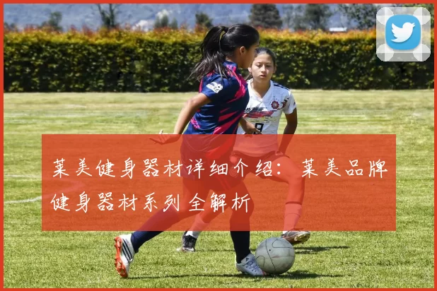 莱美健身器材详细介绍：莱美品牌健身器材系列全解析
