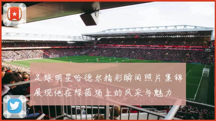足球明星哈德尔精彩瞬间照片集锦展现他在绿茵场上的风采与魅力