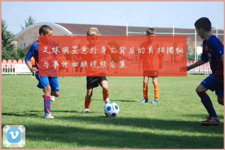 足球明星意外身亡背后的真相揭秘与事件回顾视频合集