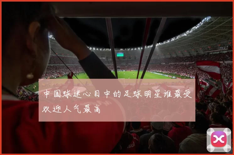 中国球迷心目中的足球明星谁最受欢迎人气最高