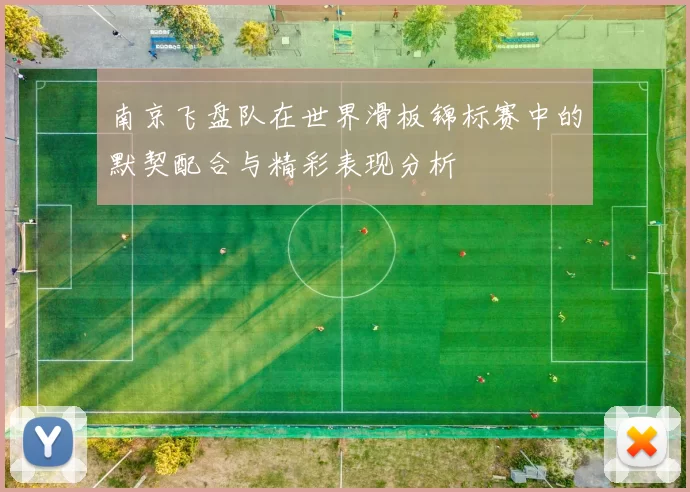 南京飞盘队在世界滑板锦标赛中的默契配合与精彩表现分析