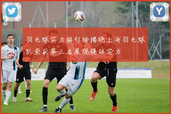 羽毛球实力排行榜揭晓上海羽毛球队荣获第三名展现强劲实力