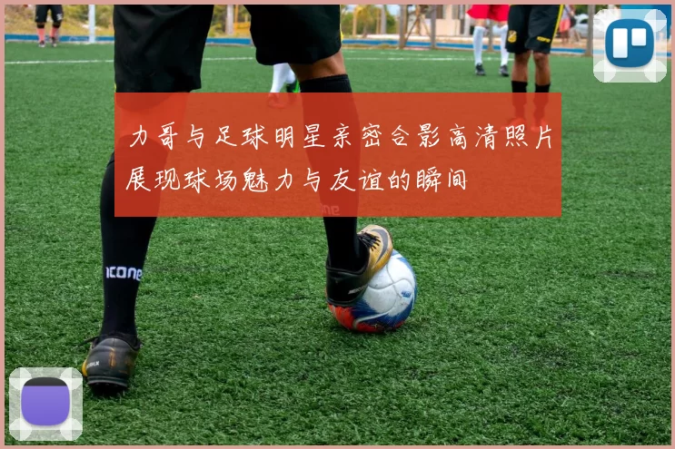 力哥与足球明星亲密合影高清照片展现球场魅力与友谊的瞬间