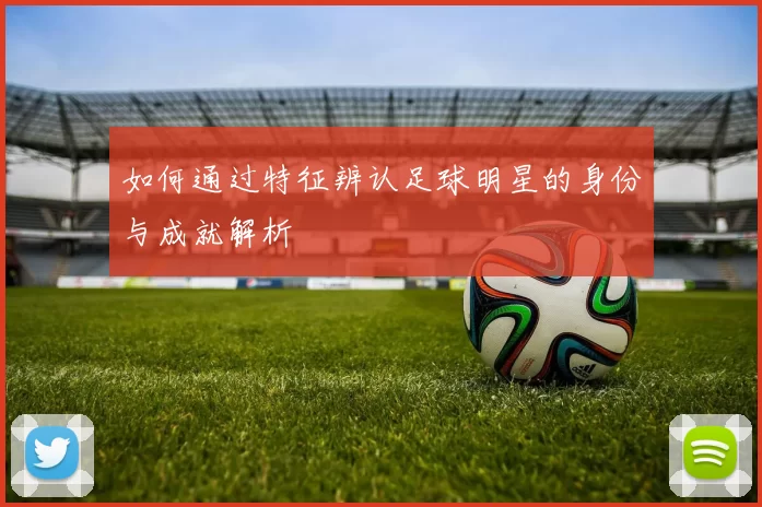 如何通过特征辨认足球明星的身份与成就解析