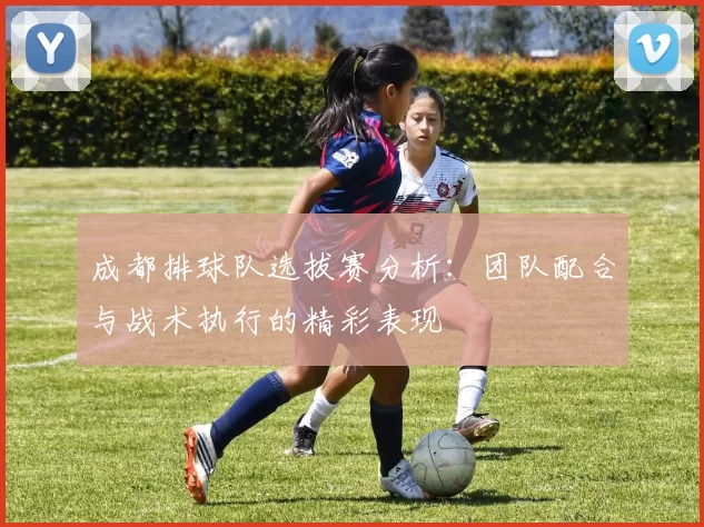 成都排球队选拔赛分析：团队配合与战术执行的精彩表现