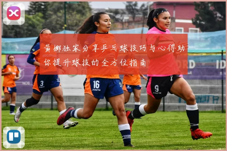 黄娜独家分享乒乓球技巧与心得助你提升球技的全方位指南