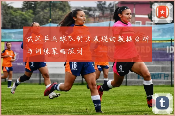 武汉乒乓球队耐力表现的数据分析与训练策略探讨