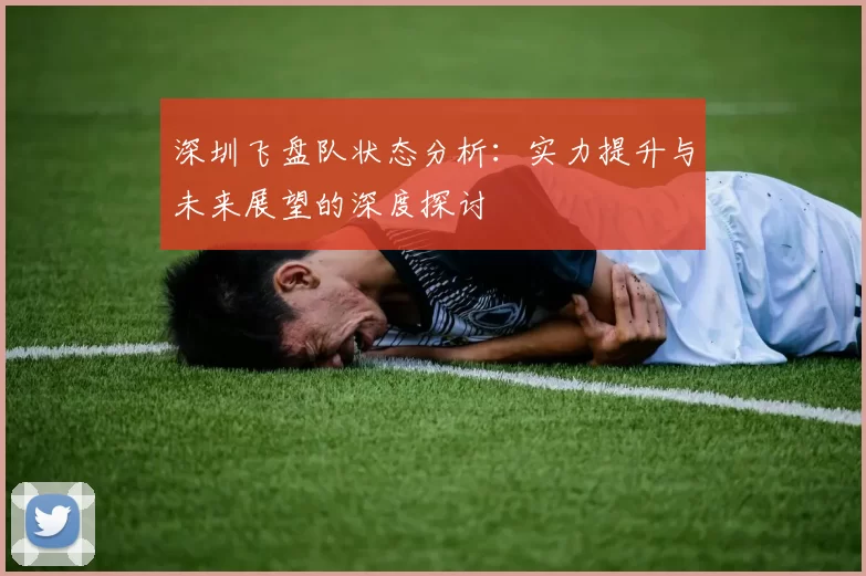 深圳飞盘队状态分析：实力提升与未来展望的深度探讨