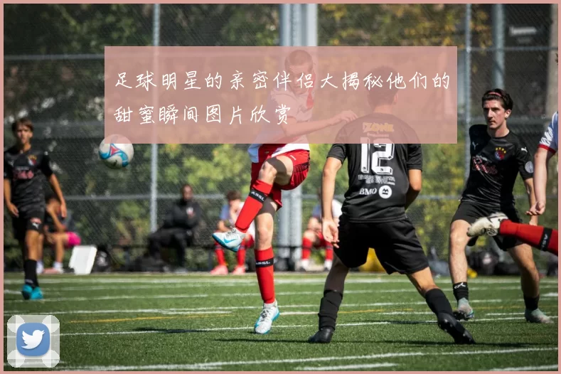 足球明星的亲密伴侣大揭秘他们的甜蜜瞬间图片欣赏