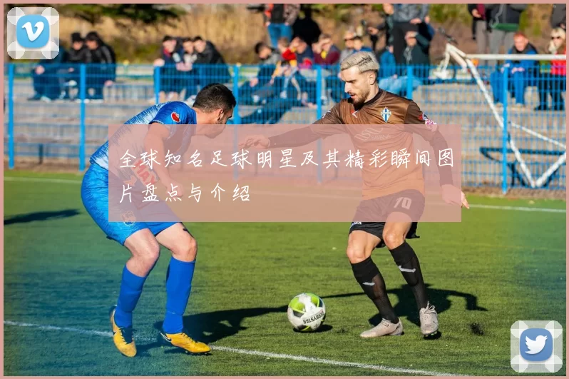 全球知名足球明星及其精彩瞬间图片盘点与介绍