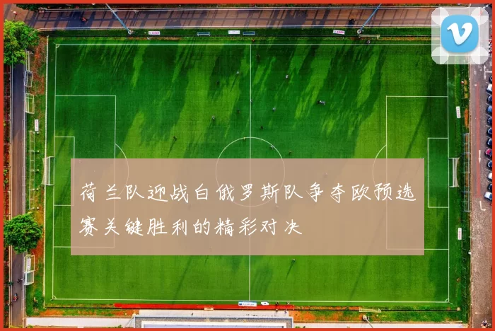 荷兰队迎战白俄罗斯队争夺欧预选赛关键胜利的精彩对决