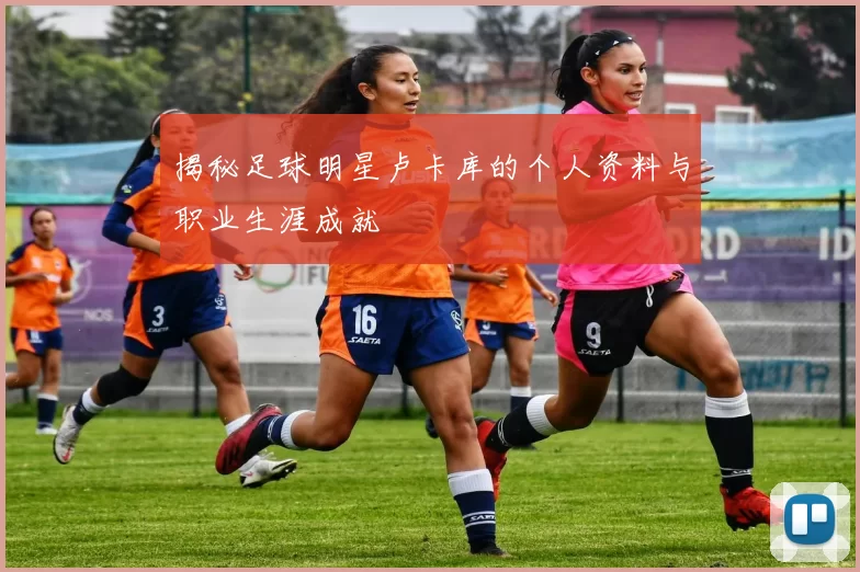 揭秘足球明星卢卡库的个人资料与职业生涯成就