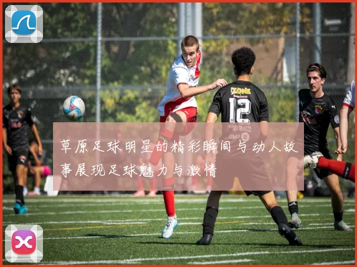草原足球明星的精彩瞬间与动人故事展现足球魅力与激情