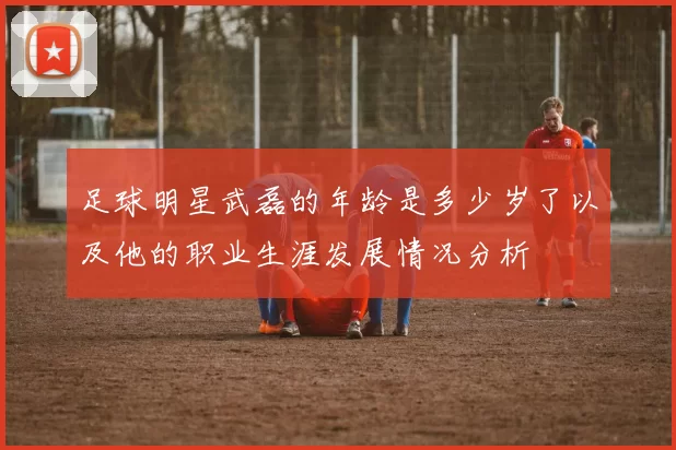 足球明星武磊的年龄是多少岁了以及他的职业生涯发展情况分析