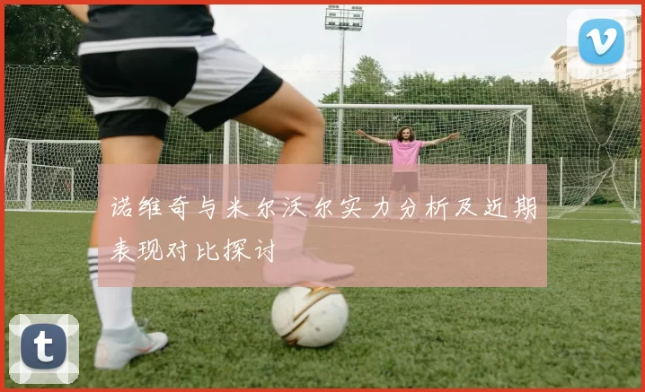诺维奇与米尔沃尔实力分析及近期表现对比探讨