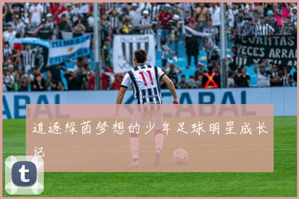追逐绿茵梦想的少年足球明星成长记