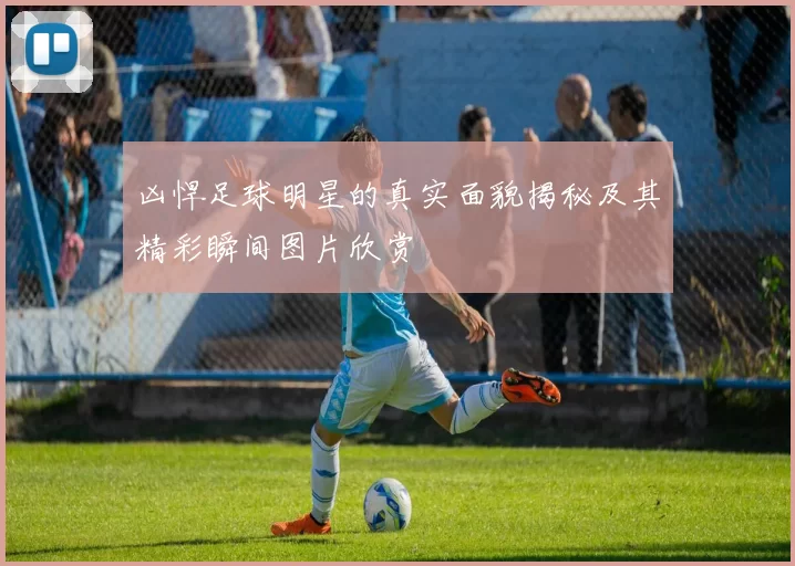 凶悍足球明星的真实面貌揭秘及其精彩瞬间图片欣赏