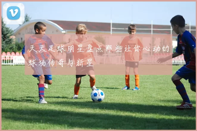 天天足球明星盘点那些让你心动的球场传奇与新星