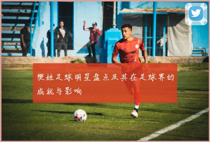 樊姓足球明星盘点及其在足球界的成就与影响