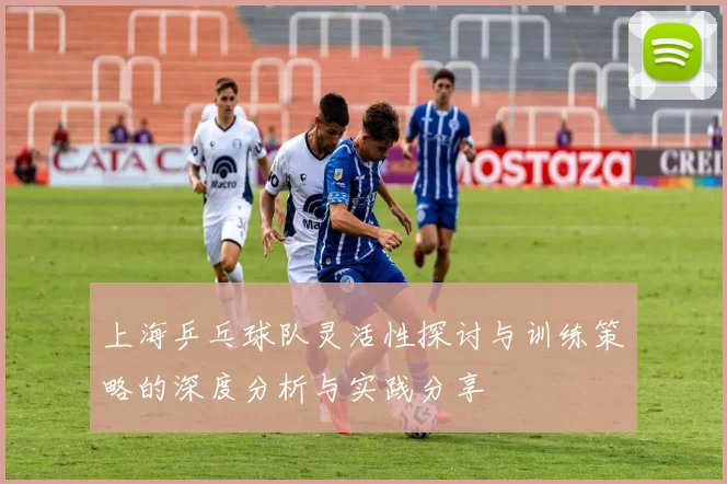上海乒乓球队灵活性探讨与训练策略的深度分析与实践分享