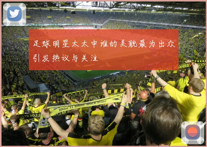 足球明星太太中谁的美貌最为出众引发热议与关注